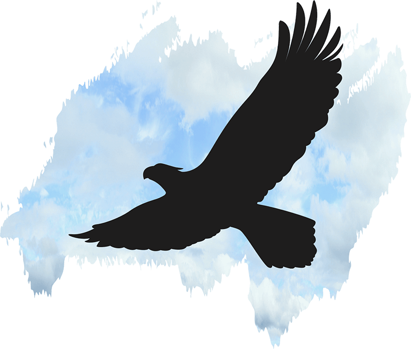 eagle illustration